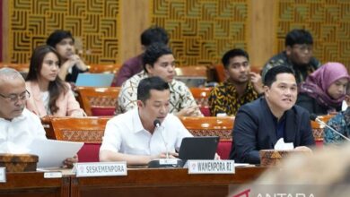 Wamenpora apresiasi DPR yang digunakan setujui proses naturalisasi tiga pemain