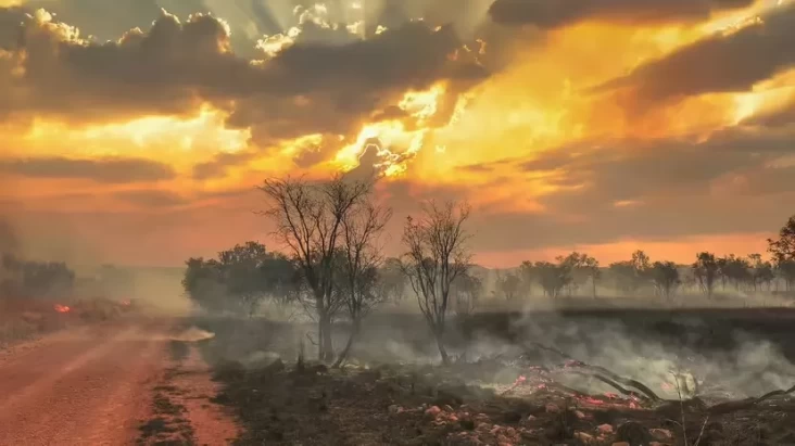 15 Kebakaran Hutan Terbesar di dalam Sejarah Dunia, negara negara Israel Nomor Berapa?