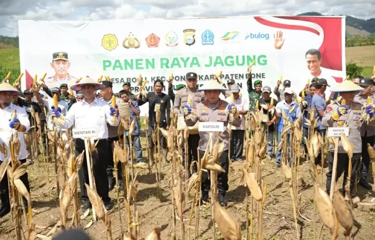 Kapolri juga Menteri Pertanian Panen Raya Jagung di area tempat Bone, Dukung Rencana Ketahanan Pangan Nasional