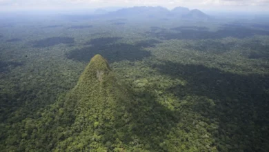 Cerro El Cono Diyakini Piramida yang dimaksud mana Tersembunyi di area tempat Hutan Amazon