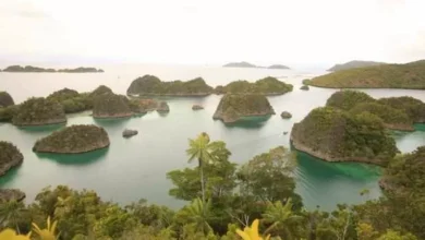 DPR: Belum Semua Organisasi Tambang Nikel di dalam tempat Raja Ampat Ditindak pemerintahan