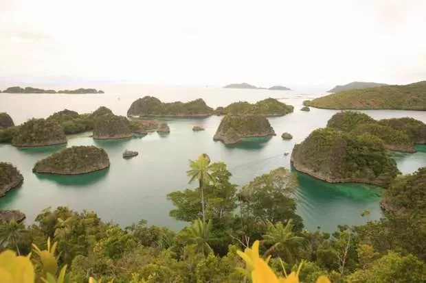 DPR: Belum Semua Organisasi Tambang Nikel di dalam tempat Raja Ampat Ditindak pemerintahan