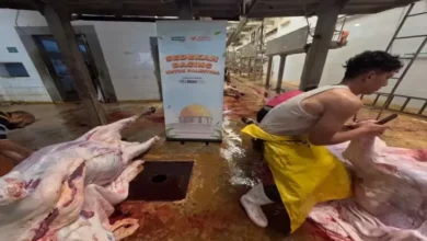 INH-Relawan Nusantara Gelar Proyek Sedekah Daging untuk Pengungsi Daerah Kawasan Gaza