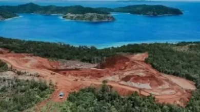 Pelaku Wisata Selam Indonesia Desak Presiden Hentikan Tambang Nikel pada Raja Ampat