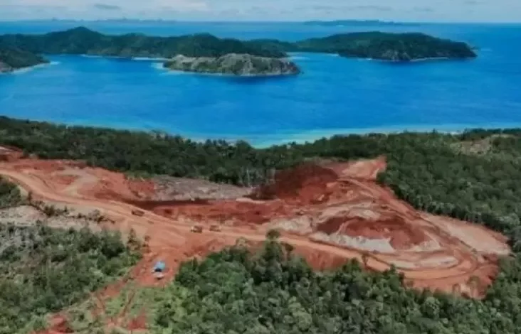 Pelaku Wisata Selam Indonesia Desak Presiden Hentikan Tambang Nikel pada Raja Ampat