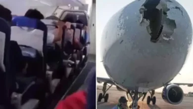 Pesawat India Hancur Akibat Ditabrak Burung kemudian Diguyur Hujan Es