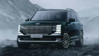 Tertangkap Kamera! Hyundai Palisade Hybrid Diam-diam Tiba di area tempat Indonesia, Strategi Premium atau Perjudian pada area Pasar yang tersebut dimaksud Lesu?