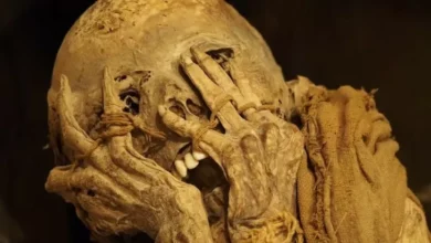 Viral! Suara Mumi Berusia 3.000 Tahun Muncul Kembali