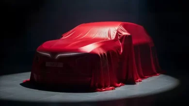 Bocoran GIIAS 2025: VinFast Bakal Luncurkan Mobil Misterius, Apa Wujudnya?