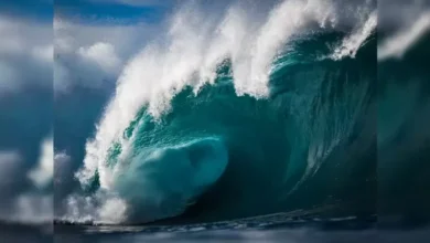 Fenomena Alam Ini adalah adalah Terdeteksi, Ilmuwan Memperingatkan Tsunami Dahsyat di Amerika Serikat