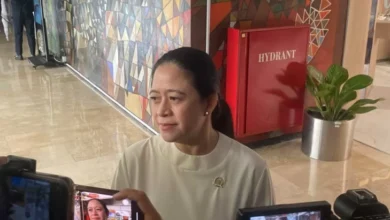 Fit and Proper Test Calon Dubes Dilakukan Tertutup, Puan Jelaskan Aturannya
