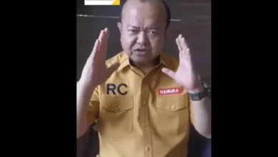 Patrice Rio Capella Jadi Plt Ketua DPD Partai Hanura Jakarta, Ini adalah adalah Pertimbangannya