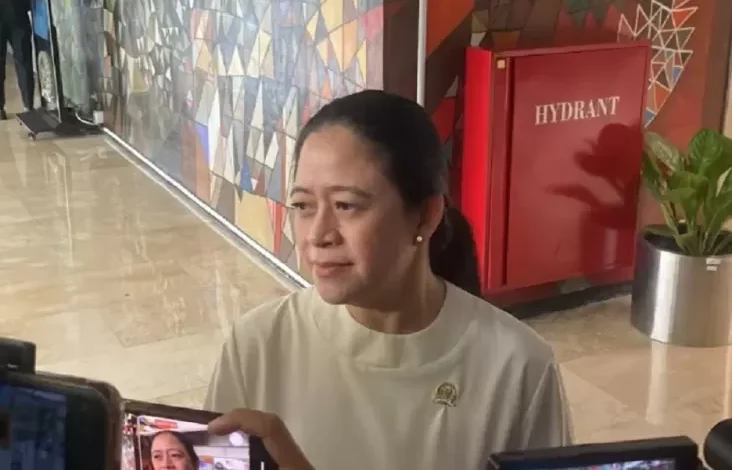 PDIP Kaji Putusan MK Pemisahan pemilihan Nasional-Lokal, Puan: Apakah Ada Pelanggaran UUD?