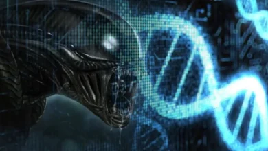 Studi DNA Kuno Ungkap Penyebab Bermunculan Penyakit Baru pada Individu