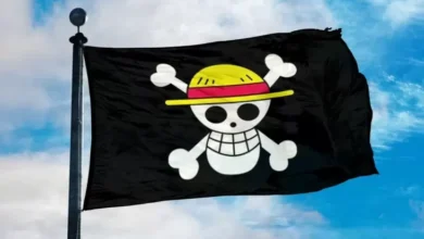 Jelang 17 Agustusan, Fenomena Warga Kibarkan Bendera One Piece Bermunculan
