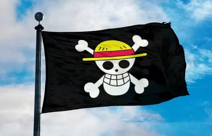 Jelang 17 Agustusan, Fenomena Warga Kibarkan Bendera One Piece Bermunculan