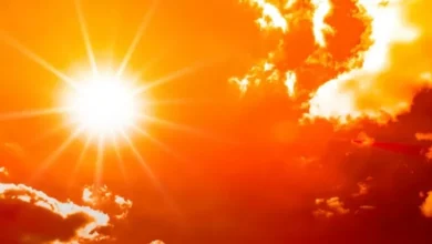 Picu Kebakaran Hutan Besar-besaran, Gelombang Panas Ektrem Melanda Eropa