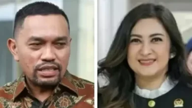 Nasdem Minta Penghentian Gaji hingga Tunjangan Anggota DPR Ahmad Sahroni lalu Nafa Urbach