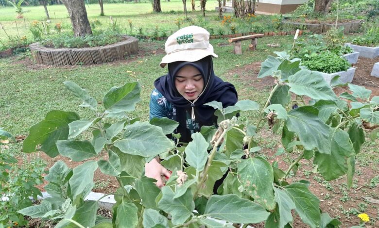 Rayakan Hari Pangan Sedunia 2025, dengan kurangi food waste