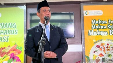 Harta kekayaan Amran Sulaiman, Kepala Badan Pangan Nasional yang mana yang disebutkan baru