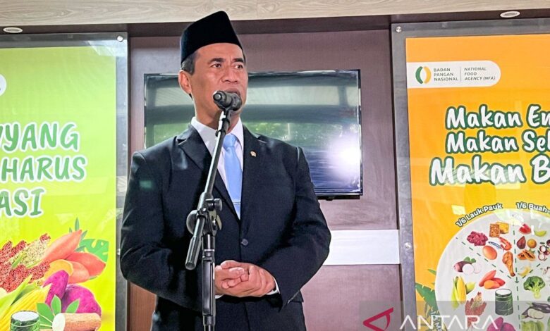 Harta kekayaan Amran Sulaiman, Kepala Badan Pangan Nasional yang mana yang disebutkan baru