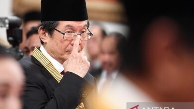 Profil PT CDIA & sosok Prajogo Pangestu dalam pada balik kesuksesan perusahaan