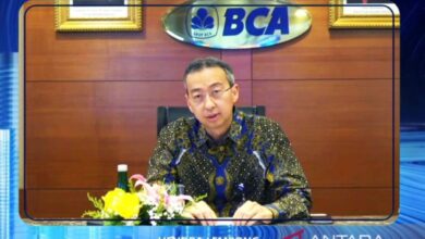 Bos BCA ungkap kabar hambatan IPO blu by BCA