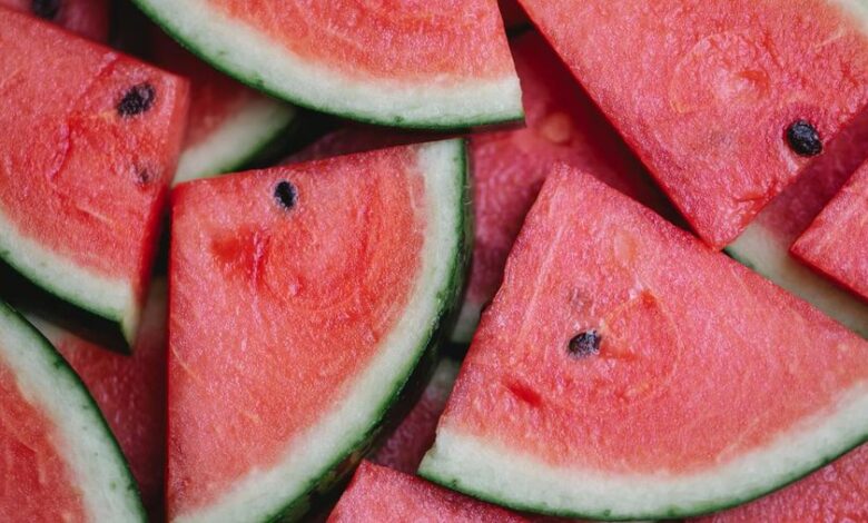 Semangka Ditanam dalam di Kutub Selatan, Hasilnya Tak Diduga