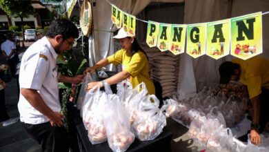 Simak sejarah kemudian tujuan diperingatinya Hari Pangan Sedunia