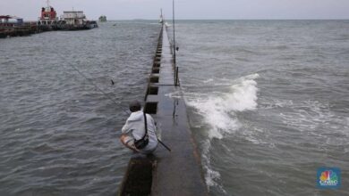 Megathrust ‘Pecah’, Ini adalah adalah Wilayah DKI Ibukota yang yang dimaksud Digulung Tsunami