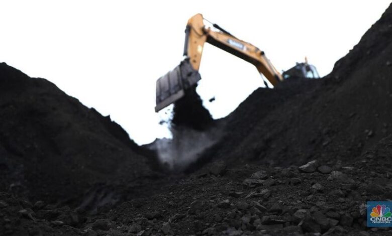 DMO Batu Bara Berpotensi Naik, Harganya Gimana? Hal ini Kata Bahlil