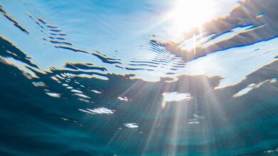 Paus Ungkap Sinyal Kiamat Makin Dekat