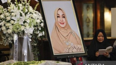 Profil istri Wiranto, Rugaiya Usman