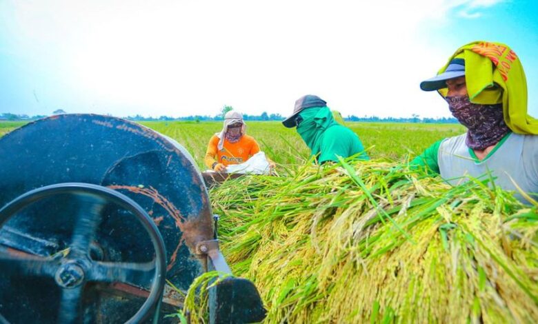 Komisi IV DPR RI Apresiasi Capaian Produksi Beras pada Era Mentan Amran