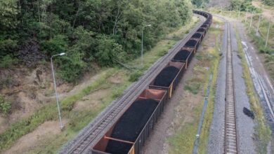 Produksi Batu Bara RI Diramal Turun Hampir 100 Juta Ton, Kenapa?