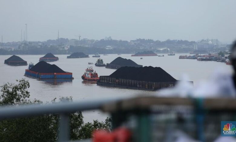DMO Batu Bara Bakal Dikerek Lebih 25%, Ini adalah adalah Tujuannya