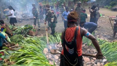 Bakar Batu: Tradisi Papua Hangatkan Natal 2025 pada Ambobera